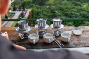 Top 10 Coffee Plantations in Bali Every Coffee Lover Should Visit