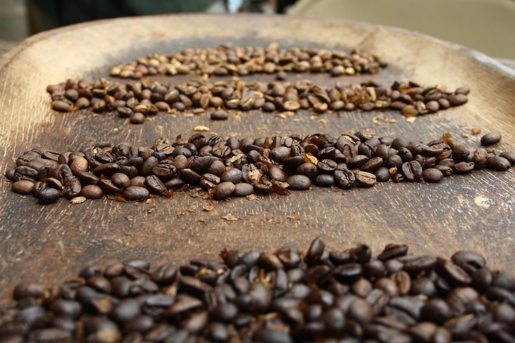 Top 10 Coffee Plantations in Bali Every Coffee Lover Should Visit